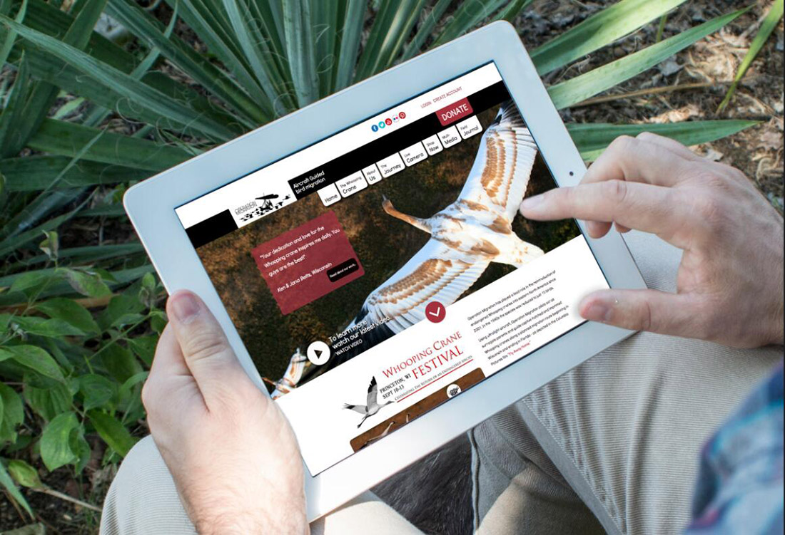 Q(mo)͑_l(f)СߺΌP(gun)IM,W(wng)վO(sh)˾,W(wng)վ